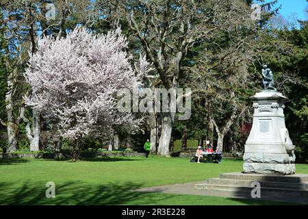 People relaxing and enjoying themselves in Beacon Hill Park in Victoria BC, Canada Stock Photo