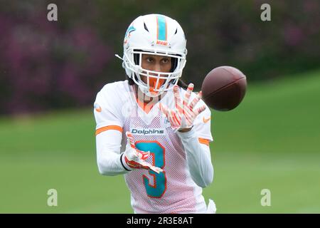 Miami Dolphins WR Robbie Chosen misses preseason opener against the Atlanta  Falcons - The Phinsider