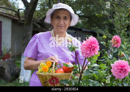 senior woman in the garden in dahlia flowers with a basket of fruits Stock Photo