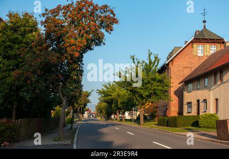 Round church Siptenfelde in the Harz Mountains Stock Photo