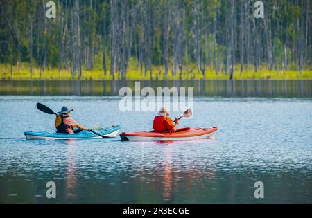 Outdoor shot of mature man canoeing in the lake. Friends kayaking on the river on a sunny day. Kayaking on the lake from back view. Tourists kayakers Stock Photo