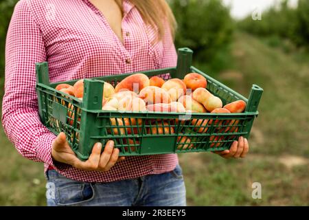 Young woman buying fresh fruits at local farm Stock Photo
