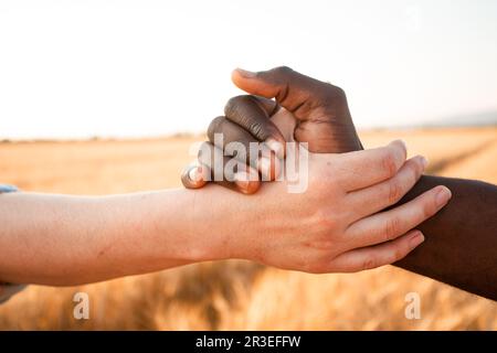 Multiracial relationship and friendsip concept. Two hands holding together. Stock Photo