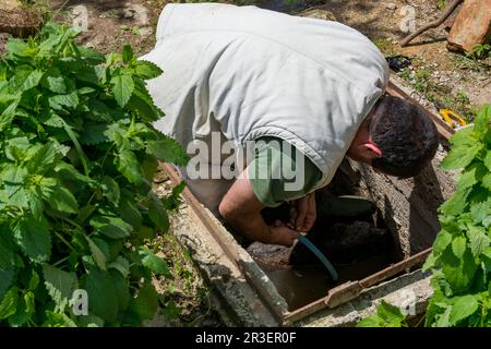 Man in a manhole releasing water for garden irrigation on a spring day in the countryside Stock Photo