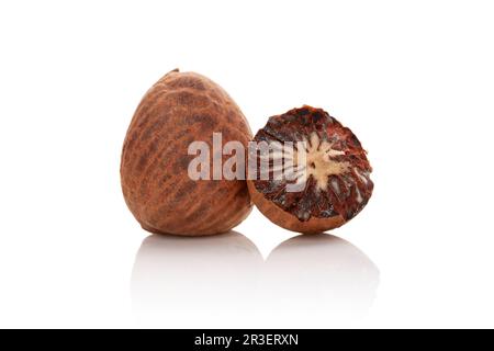 Betel nut isolated on white background. Stock Photo