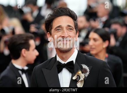 Cannes Cannes France. 23rd May 2023. Actor ADRIEN BRODY