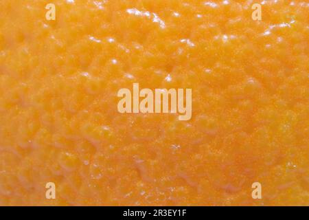 Orange peel background Stock Photo