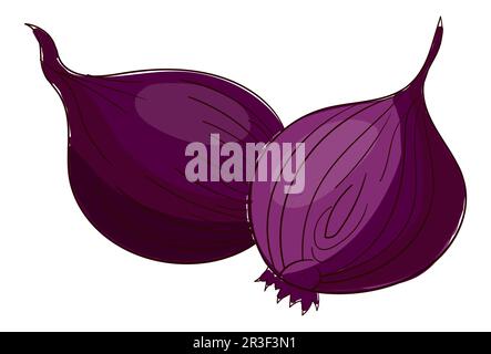 Realistic fresh onion isolated on white background - Vector Stock Photo ...