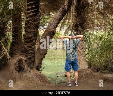 A gray-haired, long-haired man stands on the bank of a river with a reflection of palm trees, Greece, Crete, Preveli Stock Photo