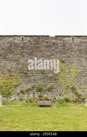 A bench next to a giant stone wall covered in ivy and other greenery, with a green lawn in front. Stock Photo