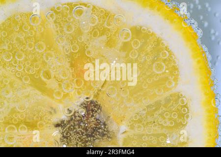 Slice of ripe lemon in water. Close-up of lemon in liquid with bubbles. Slice of ripe citron in sparkling water. Macro image of fruit in carbonated Stock Photo