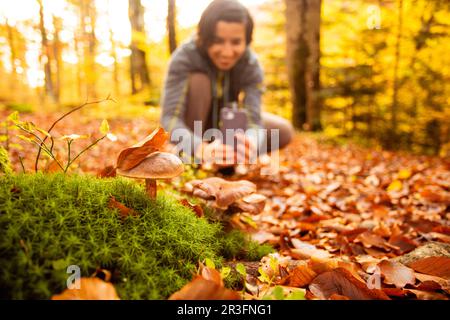 Woman in the forest takes pictures of a mushroom usinag smartphone Stock Photo