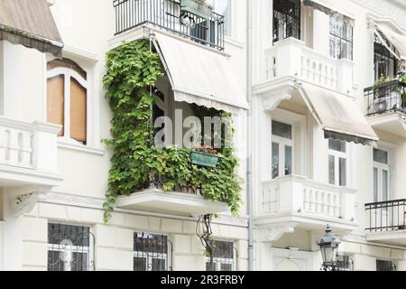 Beautiful building with balcony overgrown by green plants Stock Photo