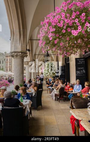 cafeterias de Sukiennice,Rynek Gówny , plaza del mercado, Cracovia , voivodato de Pequeña Polonia,Polonia, eastern europe. Stock Photo