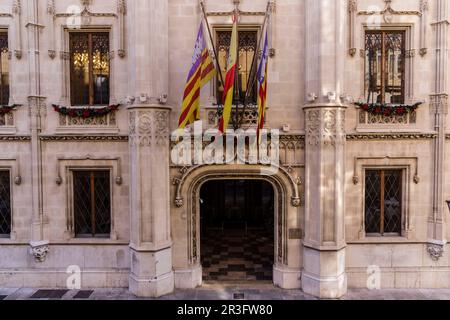 Consell Insular de Mallorca, 19-20th century, Palma, Mallorca, Balearic Islands, Spain. Stock Photo