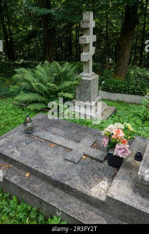 tumba en el cementerio de Ulucz, valle del rio San, voivodato de la Pequeña Polonia, Cárpatos, Polonia, europe. Stock Photo