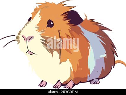 Fluffy guinea pig sitting, looking cute and cheerful Stock Vector
