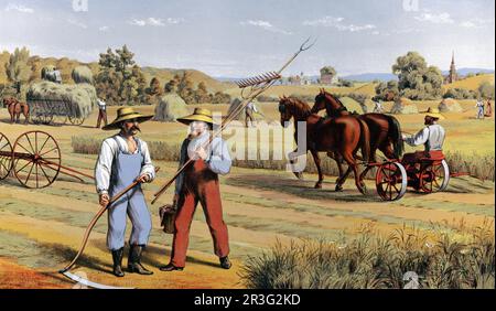 Prang's aids for object teaching, haymaking. Stock Photo