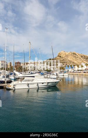 Alicante Port d'Alacant Marina with boats and view of Castillo Castle vacation travel city portrait in Spain Stock Photo