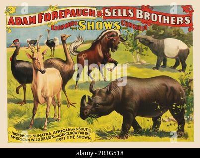 Vintage circus poster for Adam Forepaugh & Sells Brothers enormous shows combined. Stock Photo