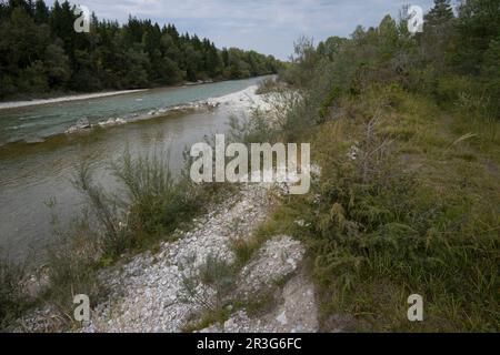 Isar valley nearby Lenggries Stock Photo