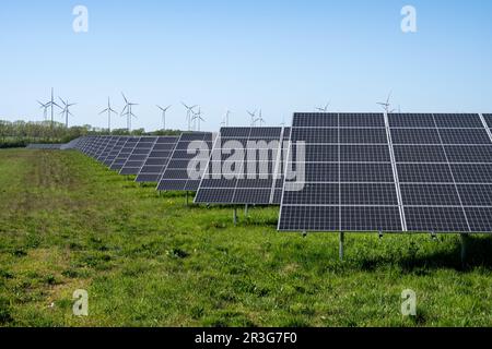 Solar panels with wind turbines in the back seen in Germany Stock Photo