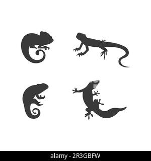 lizard animal vector salamander gecko crocodile and reptiles design logo Stock Vector