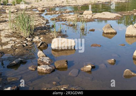 Exposed parched riverbed of the Elbe River in Magdeburg, Germany during severe drought in summer Stock Photo