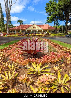 Hawaii, Oahu, Wahiawa, Dole Pineapple Plantation, Aerial Of Pineapple ...