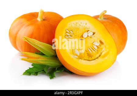 Ripe pumpkin vegetables with green levaes and blossom isolated on white Stock Photo