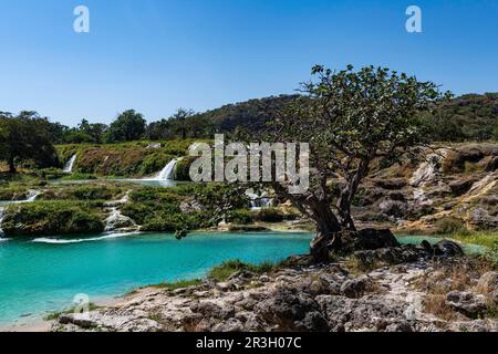 Turquoise waterfalls, Wadi Darbat, Salalah, Oman Stock Photo