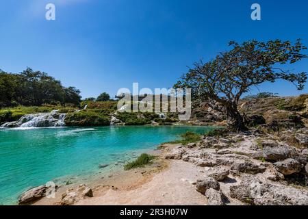 Turquoise waterfalls, Wadi Darbat, Salalah, Oman Stock Photo