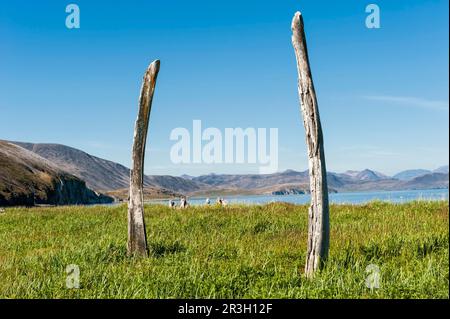 Whale Bone Avenue, Ittygran Island, Chukotka, Russia Stock Photo