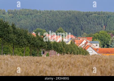 View of Siptenfelde in the Harz Mountains Stock Photo