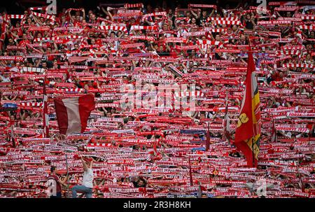 Fans hold up scarves, fan block, atmospheric, south curve, Allianz Arena, Munich, Bayern, Germany Stock Photo
