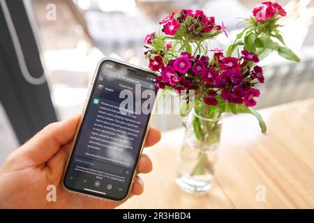 Spain, Barcelona - March 20 2023: Request in the chat "flowers". ChatGPT chat bot screen seen on smartphone and laptop display with Chat GPT login Stock Photo