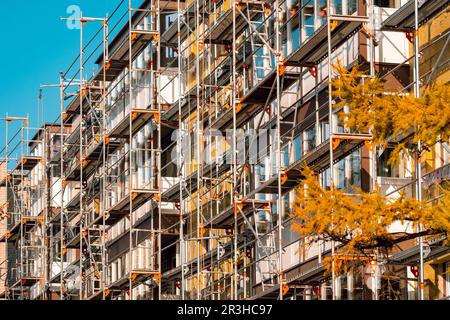 Gallery image with a fresh perspective