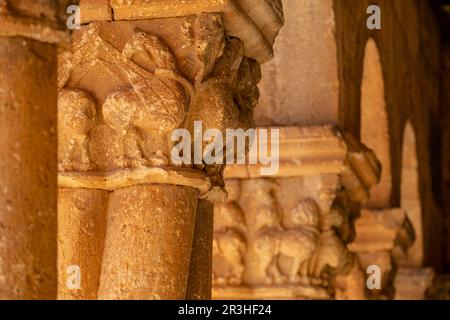 grifo, Iglesia de San Pedro Apóstol, Románico, siglo XII -declarada Monumento Histórico Artístico Nacional en 1935-, Caracena, Soria, comunidad autónoma de Castilla y León, Spain, Europe. Stock Photo