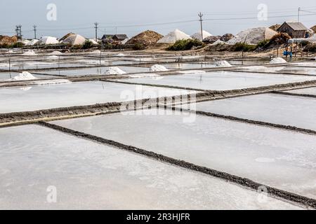 A little section of the sea salt evaporation pond is divided. Side by side with the evaporation ponds, lines converge and have salt piles. Stock Photo