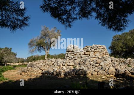 talayot circular, conjunto prehistórico de Capocorb Vell, principios del primer milenio a. C. (Edad de Hierro), Monumento Histórico Artístico, Llucmajor, Mallorca, Balearic islands, spain. Stock Photo