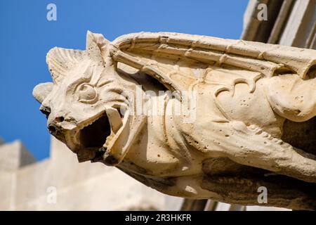 gargola en forma de dragon, Lonja de Palma de Mallorca , Sa Llotja, antigua sede del Colegio de Mercaderes, Monumento histórico-artístico, construida por Guillem Sagrera entre 1420 y 1452, Palma, Mallorca, balearic islands, Spain. Stock Photo