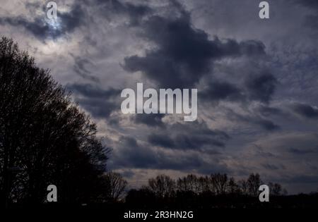 A dramatic cloudy sky in blue and grey colors above the silhouettes of trees Stock Photo