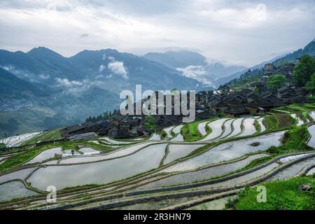 vast expanses of terrace fields under cloud sea Stock Photo