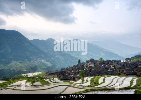 vast expanses of terrace fields under cloud sea Stock Photo