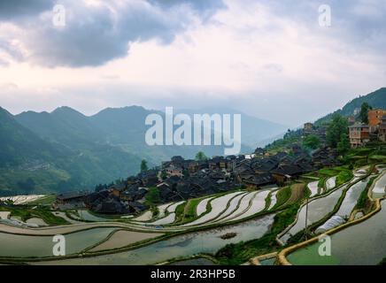 vast expanses of terrace fields under cloud sea Stock Photo