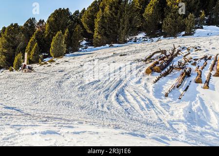 Cut wood logs in front of a panorama of snow-capped peaks Stock Photo