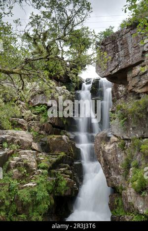 Garve, Ardessie Falls, Scotland, Highland, Great Britain Stock Photo