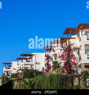 Traditional white summer houses in Bodrum, Turkey. Summer vacation concept Stock Photo