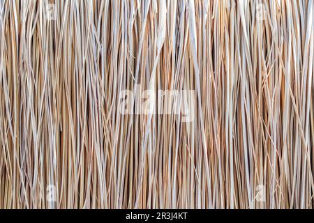 Close up of thatch roof or wall background. Tropical roofing on beach Stock Photo