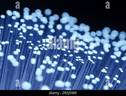 Fibre optic for data transfer transmission Stock Photo